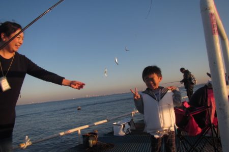 オリジナルメーカー海づり公園(市原市海づり施設) 釣果