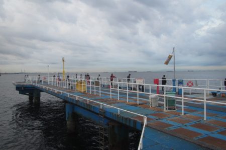 オリジナルメーカー海づり公園(市原市海づり施設) 釣果