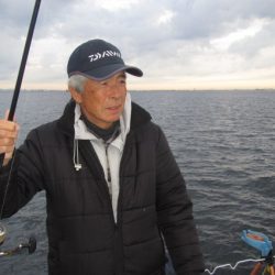 オリジナルメーカー海づり公園(市原市海づり施設) 釣果