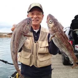 大進丸(新潟) 釣果