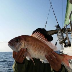 第五慶門丸 釣果