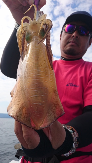 海晴丸 釣果