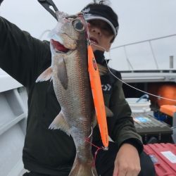 へいみつ丸 釣果