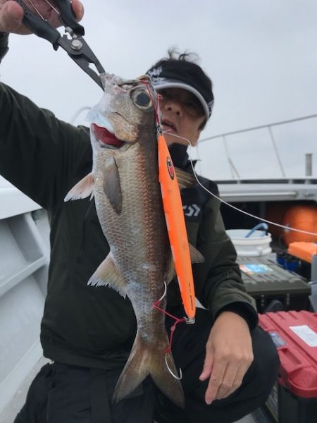 へいみつ丸 釣果