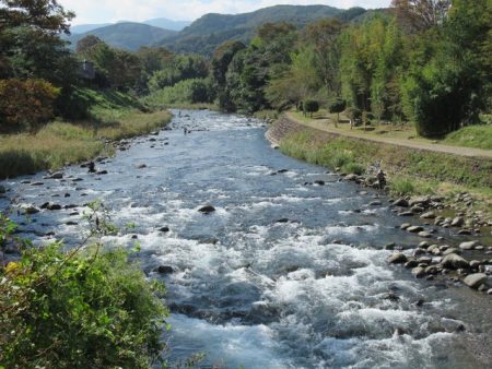 狩野川(狩野川漁業協同組合) 釣果