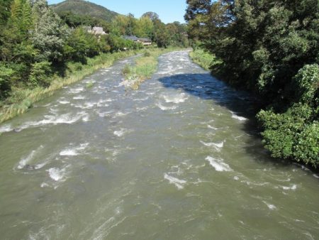 狩野川(狩野川漁業協同組合) 釣果