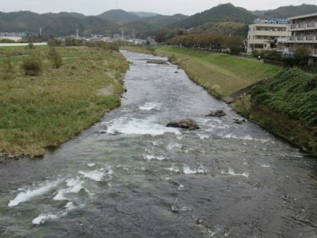 狩野川(狩野川漁業協同組合) 釣果
