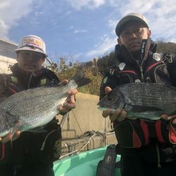 由良渡船 釣果