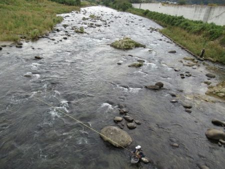 狩野川(狩野川漁業協同組合) 釣果