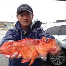 大進丸(新潟) 釣果