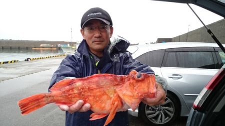 大進丸(新潟) 釣果