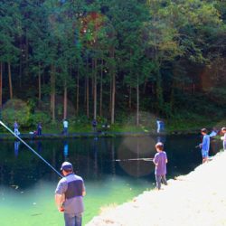 小菅トラウトガーデン 釣果