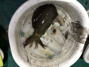 さぶろう丸 釣果