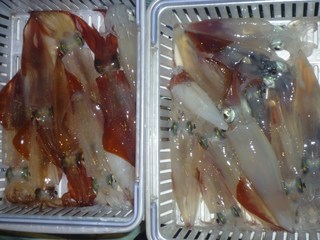 松福丸 釣果