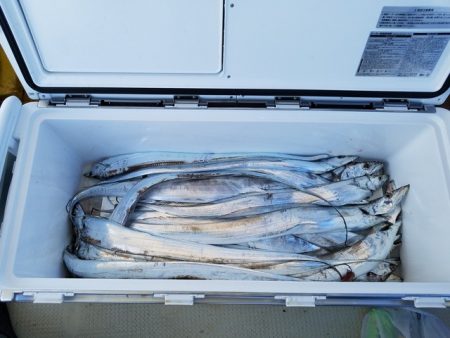 遊漁船　ニライカナイ 釣果