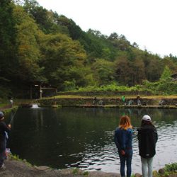 小菅トラウトガーデン 釣果