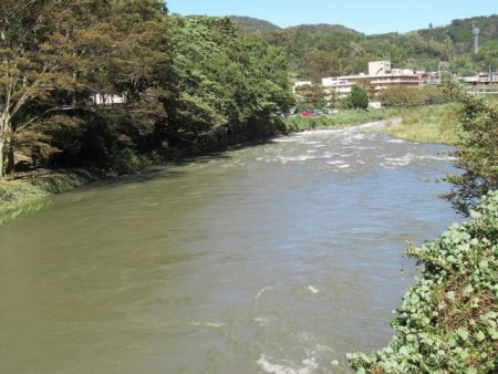 狩野川(狩野川漁業協同組合) 釣果