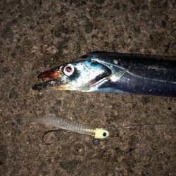 明石ワインド11