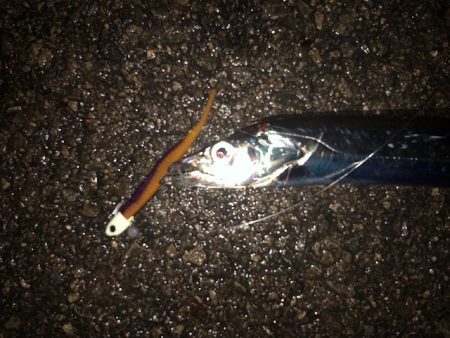 明石ワインド14