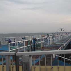 オリジナルメーカー海づり公園(市原市海づり施設) 釣果