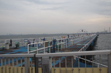 オリジナルメーカー海づり公園(市原市海づり施設) 釣果