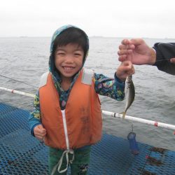 オリジナルメーカー海づり公園(市原市海づり施設) 釣果