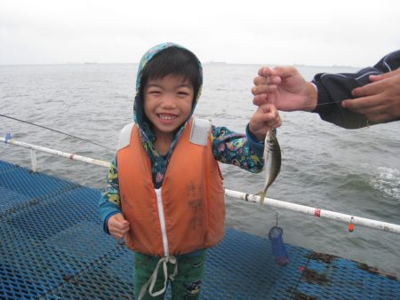 オリジナルメーカー海づり公園(市原市海づり施設) 釣果