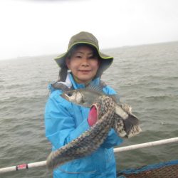 オリジナルメーカー海づり公園(市原市海づり施設) 釣果