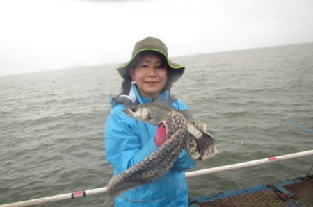 オリジナルメーカー海づり公園(市原市海づり施設) 釣果