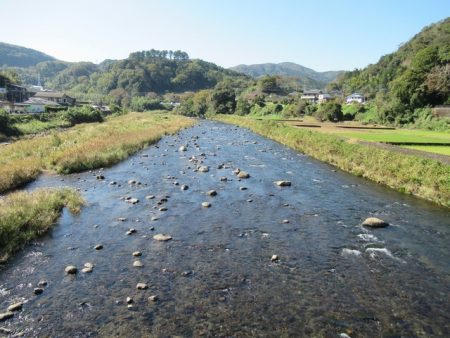 狩野川(狩野川漁業協同組合) 釣果
