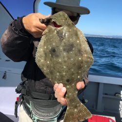 へいみつ丸 釣果