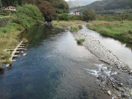 狩野川(狩野川漁業協同組合) 釣果