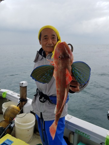 遊漁船 ニライカナイ 釣果