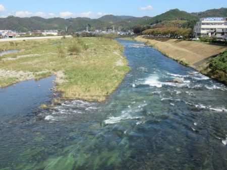 狩野川(狩野川漁業協同組合) 釣果