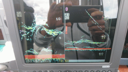 遊漁船ブルーウッズ 釣果