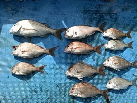 フィッシングガイド りょう 釣果