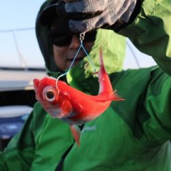 へいみつ丸 釣果