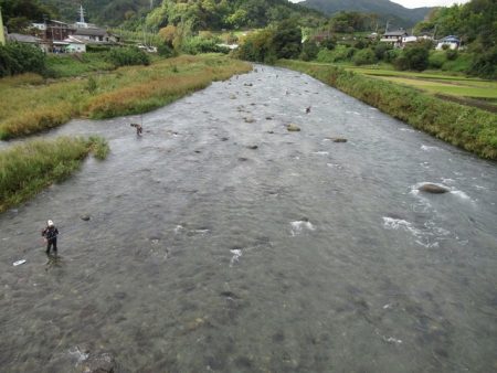 狩野川(狩野川漁業協同組合) 釣果