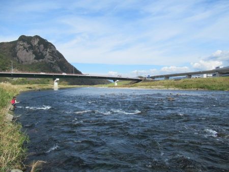 狩野川(狩野川漁業協同組合) 釣果