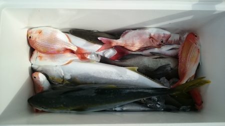 大進丸(新潟) 釣果