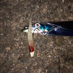 明石ワインド12