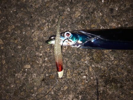 明石ワインド12