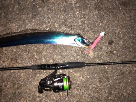 明石ワインド13