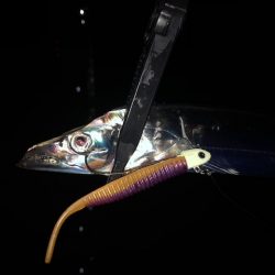 明石ワインド14