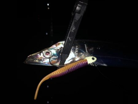 明石ワインド14