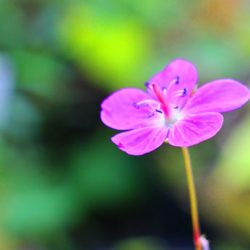 小菅トラウトガーデン 釣果