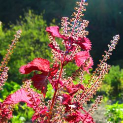 小菅トラウトガーデン 釣果