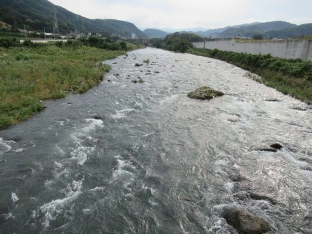狩野川(狩野川漁業協同組合) 釣果