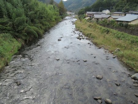 狩野川(狩野川漁業協同組合) 釣果
