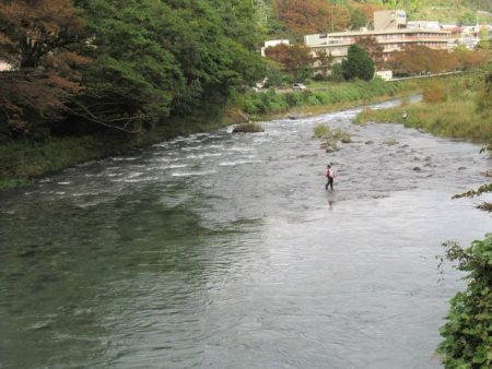 狩野川(狩野川漁業協同組合) 釣果
